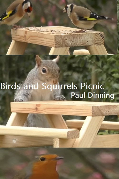 Birds and Squirrels Picnic (2023) poster