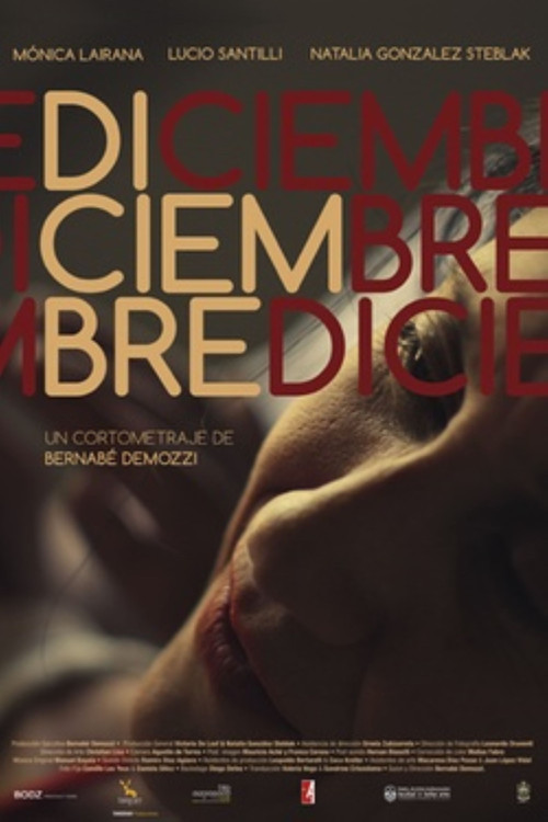 Diciembre (2013) poster