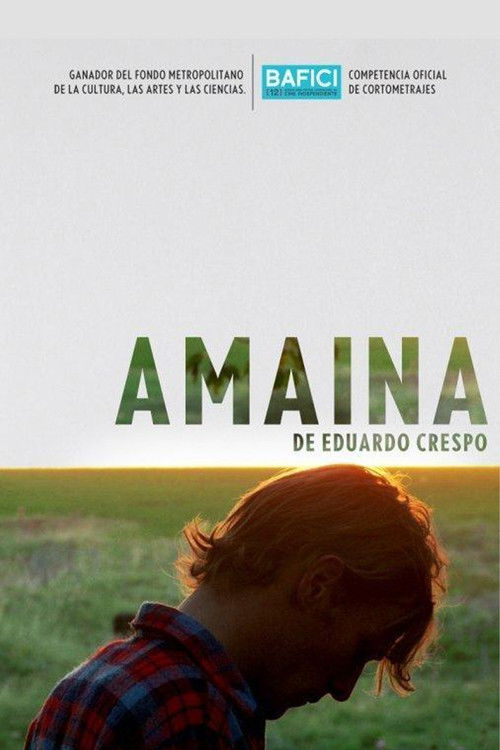 Amaina (2010) poster