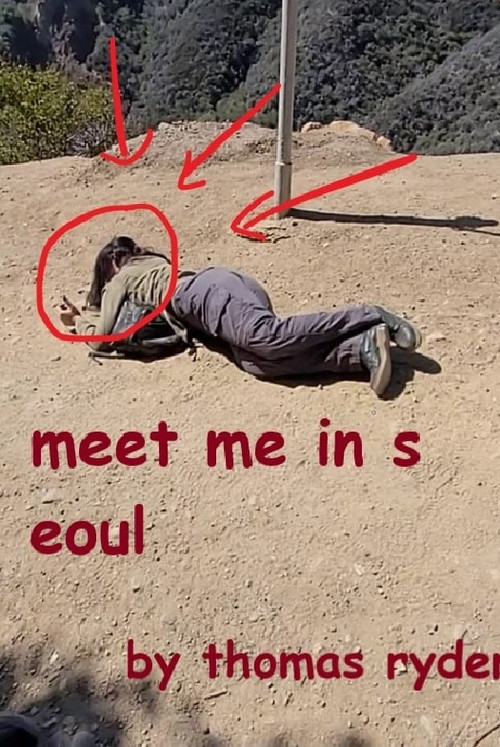 Meet Me In Seoul (2023) poster