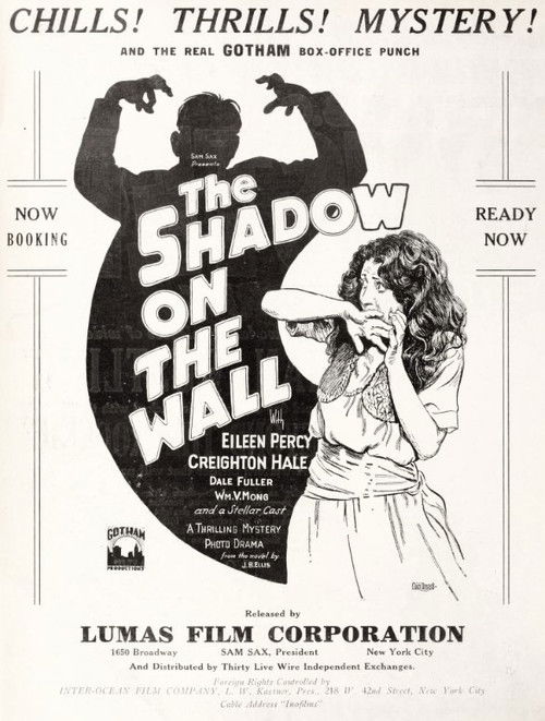 The Shadow on the Wall (1925) poster