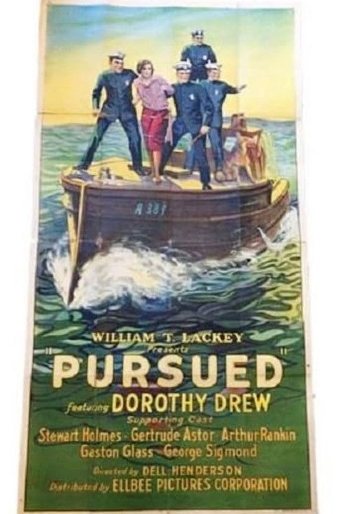 Pursued (1925) poster