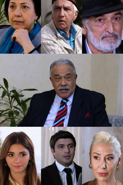 The Boy is Brave, the Girl is Beautiful (2024) poster