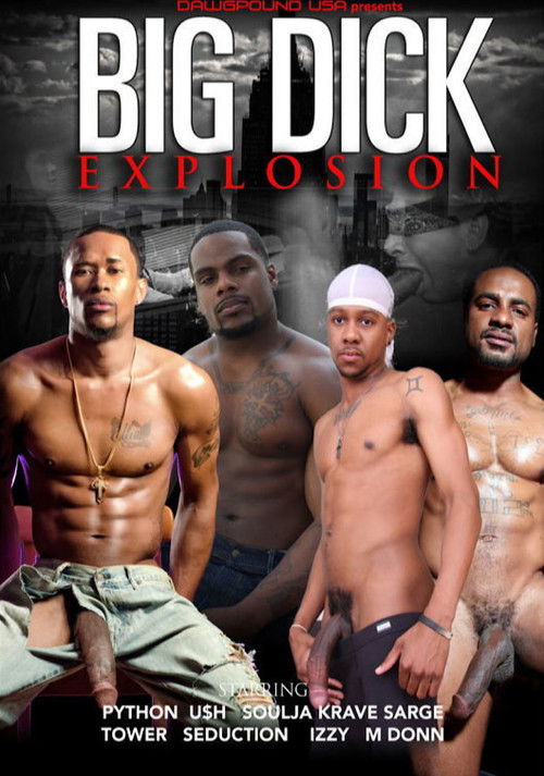 Big Dick Explosion (2014) poster