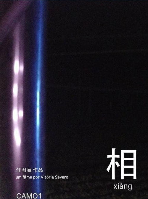 相 xiàng (2022) poster
