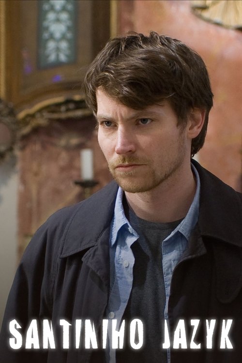 Santini’s Enigma (2011) poster