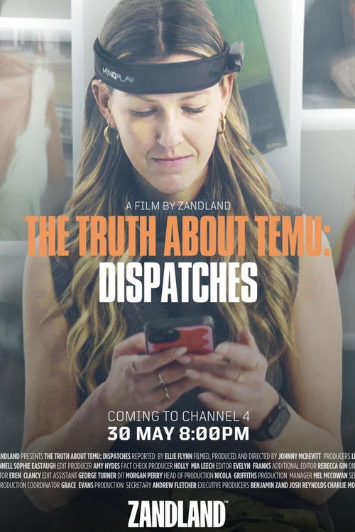 The Truth About Temu (2024) poster