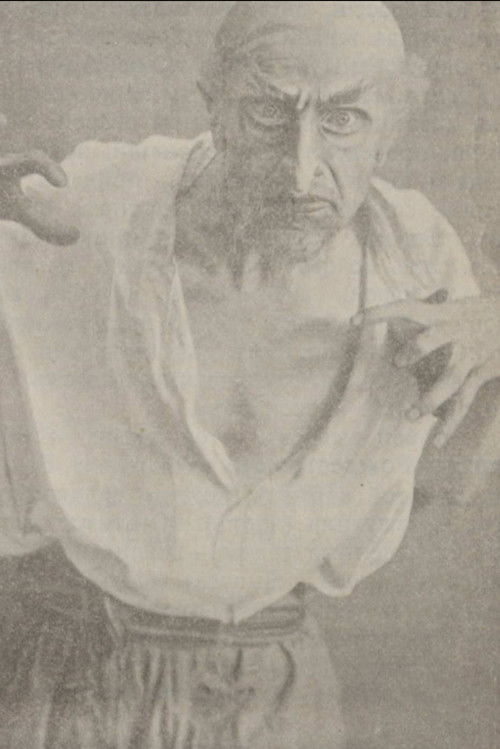 A Terrible Revenge (1913) poster