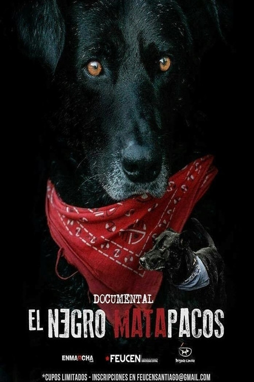 Matapaco (2013) poster
