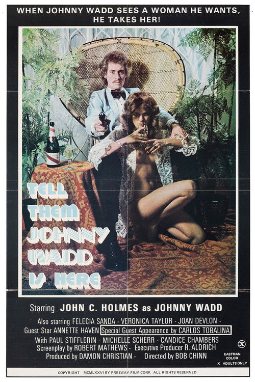 Tell Them Johnny Wadd Is Here (1976) poster