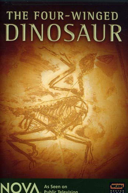 The Four-Winged Dinosaur (2008) poster