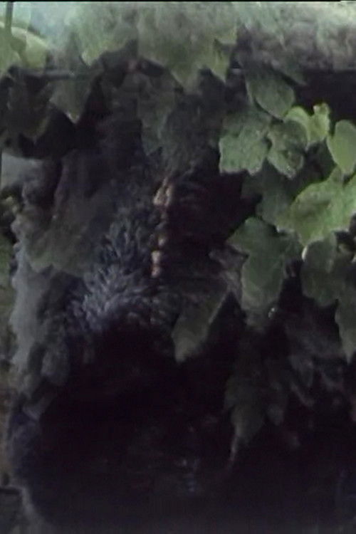 Play 33 (1989) poster