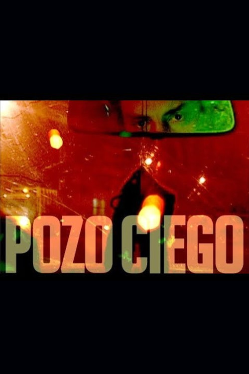 Pozo ciego (2007) poster