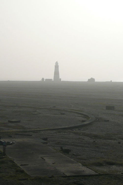 Cobra Mist (2008) poster