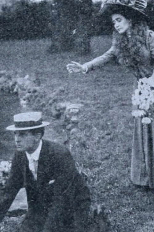 Water Lilies (1911) poster