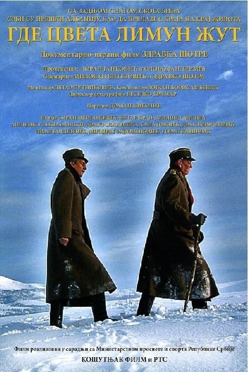 Where the Yellow Lemon Blooms (2006) poster