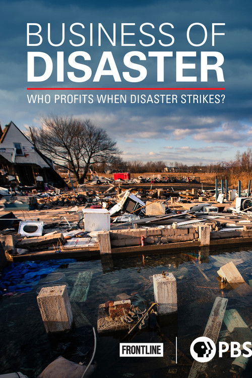 Business of Disaster (2016) poster