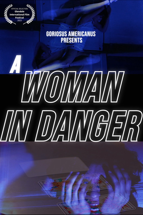 A Woman in Danger (2023) poster