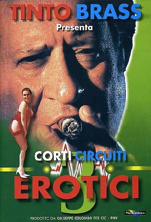 Corti circuiti erotici Vol.3 (1998) poster
