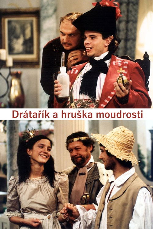 Drátařík a hruška moudrosti (2003) poster