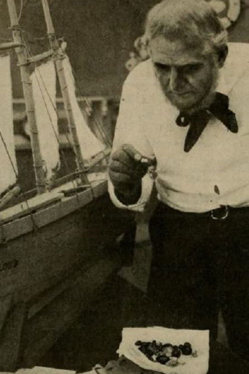 The Treasure Ship (1914) poster