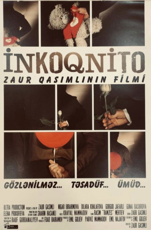 Incognito (2012) poster