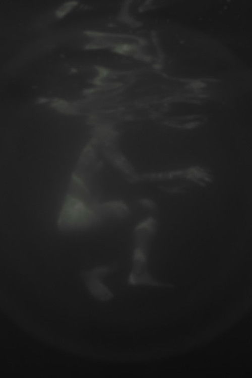 Hazug disznók az álmok is (2025) poster