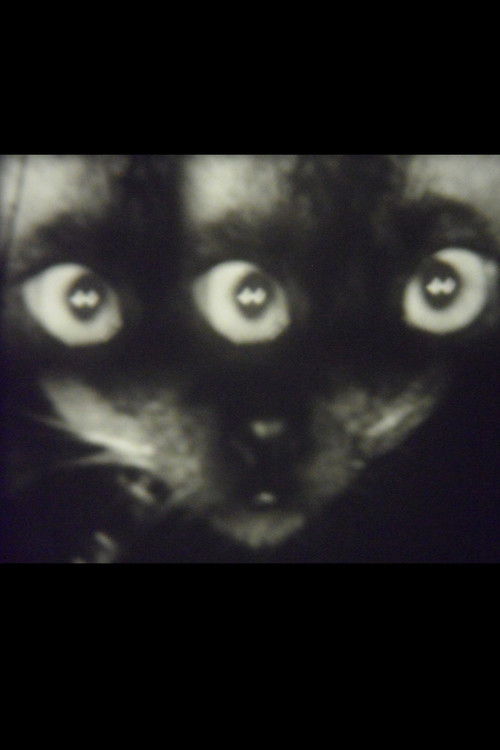 Wee Gee’s Camera Magic (1960) poster