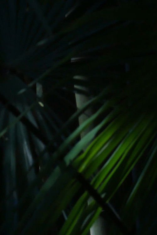 Quatorze vues de l’été (2021) poster