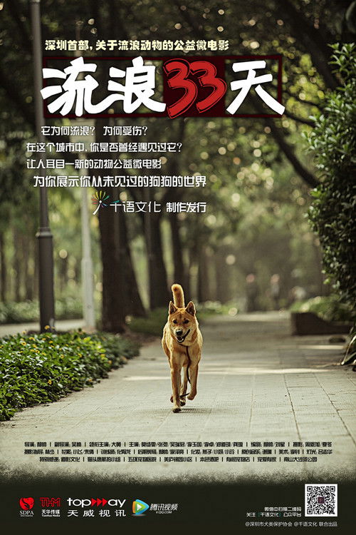流浪33天 (2013) poster