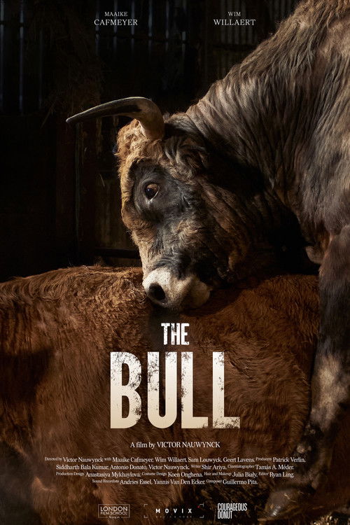 The Bull (2024) poster