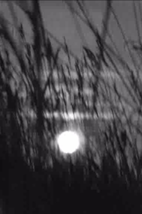 Bugey pour mémoire (1971) poster