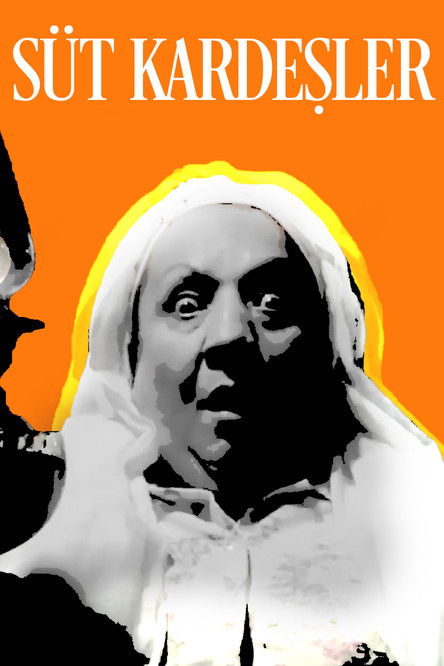 The Foster Brothers (1976) poster