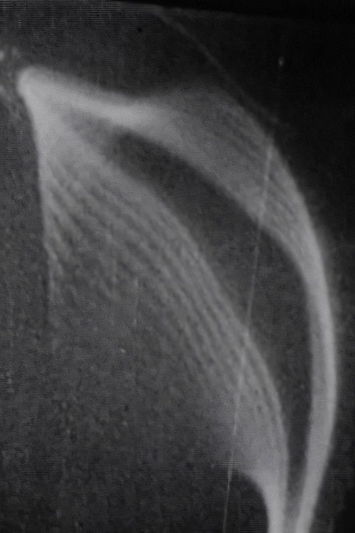 Études des solides illusoires (1960) poster