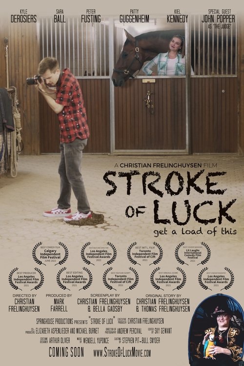 Stroke of Luck (2022) poster