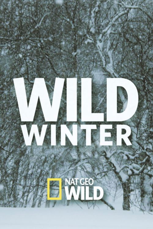 Wild Winter (2016) poster