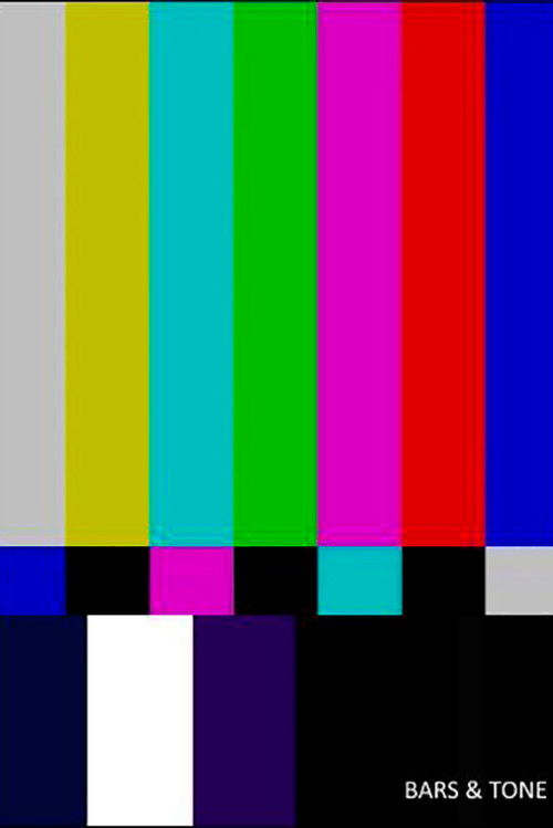 Bars & Tone (2012) poster