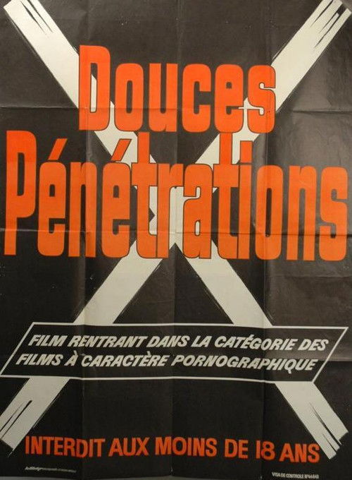 Sweet Penetrations (1976) poster