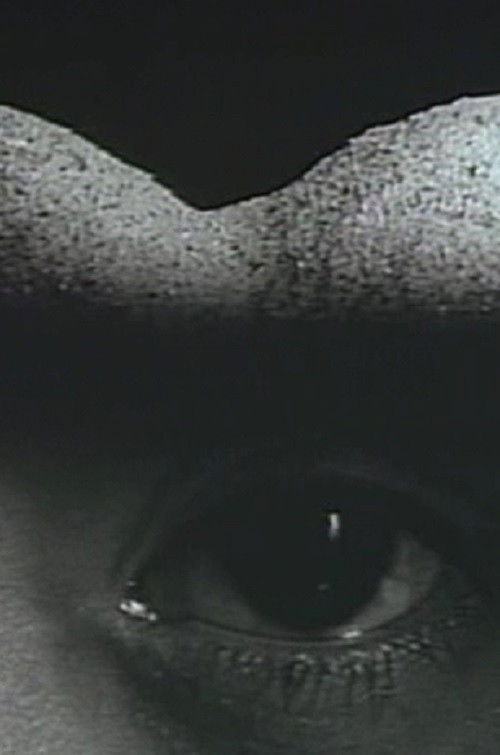 ORG (1994) poster