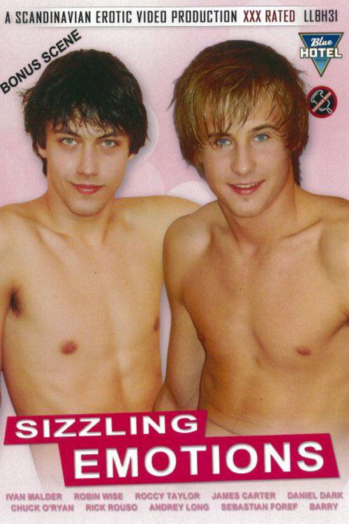 Sizzling Emotions (2011) poster