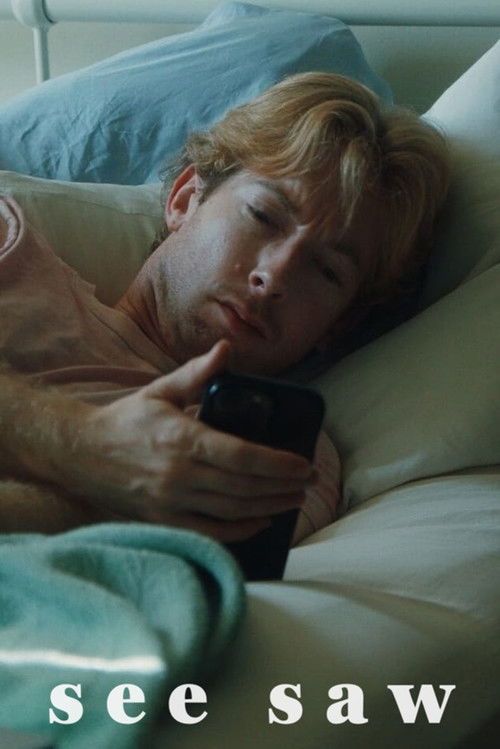 See Saw (2024) poster