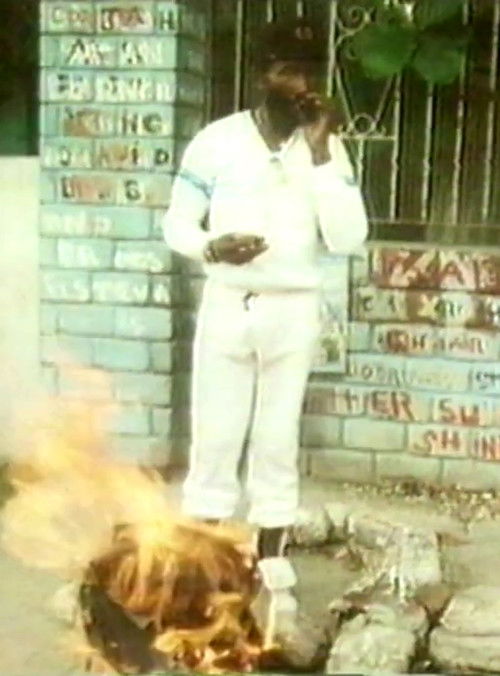 Jools in Jamaica (1984) poster