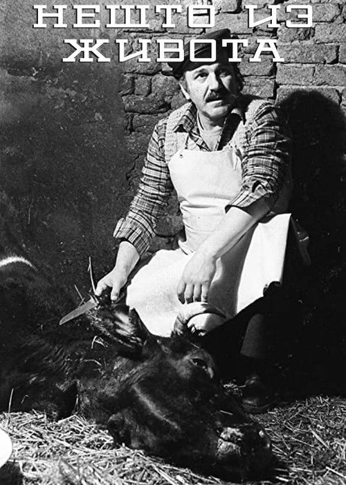 Scenes from a Life (1980) poster