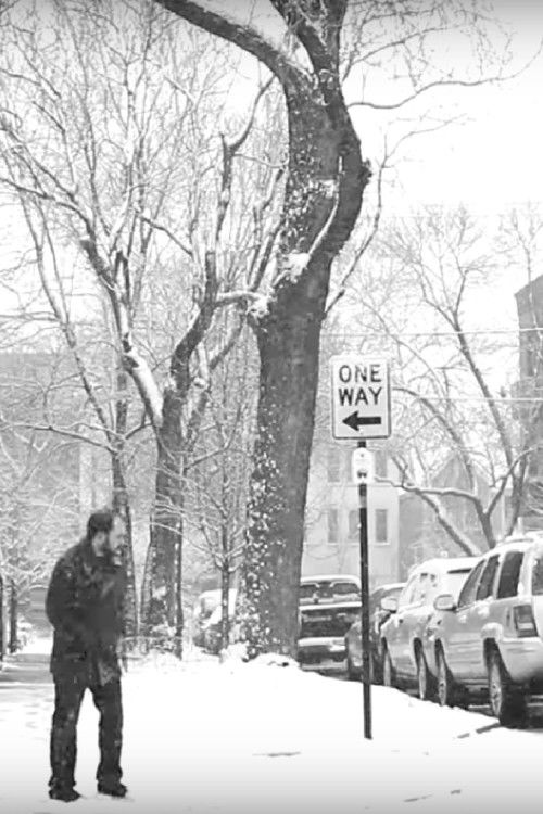 The Wigged Man (2012) poster