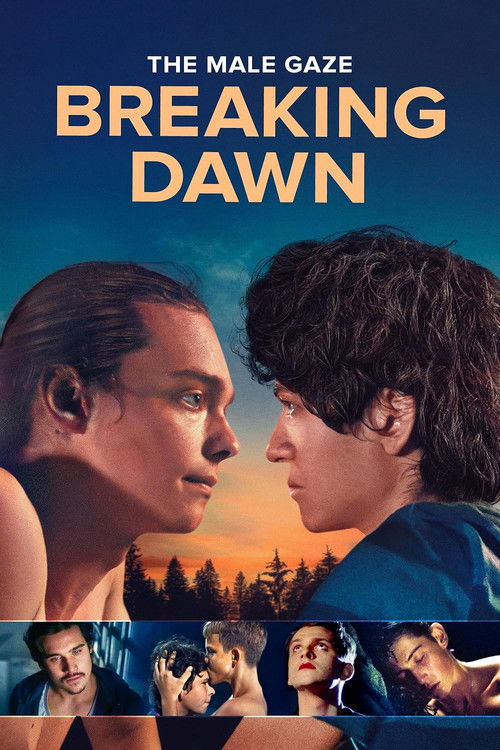 The Male Gaze: Breaking Dawn (2025) poster