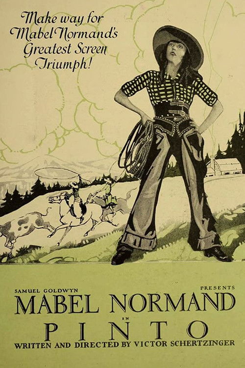 Pinto (1920) poster