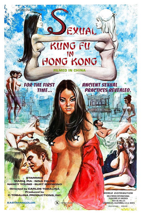 Sexual Kung Fu in Hong Kong (1974) poster