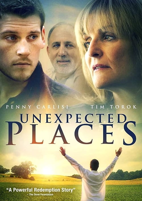 Unexpected Places (2012) poster
