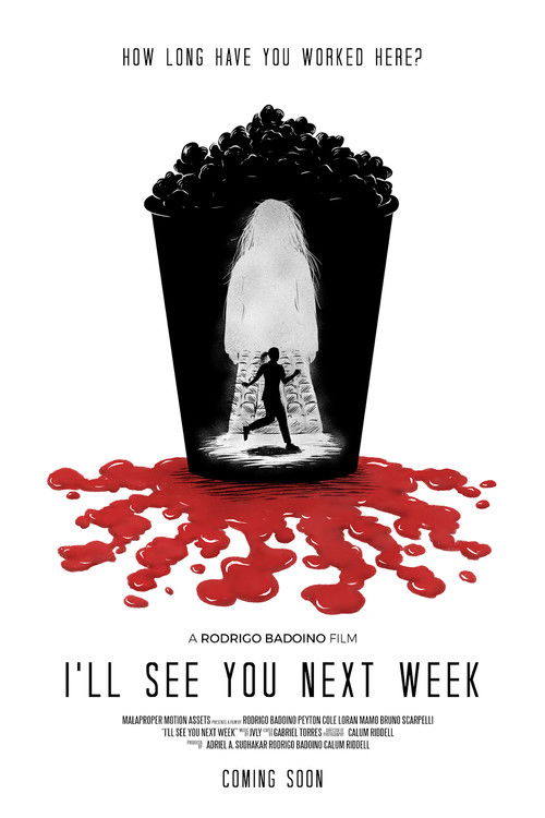 I’ll See You Next Week poster