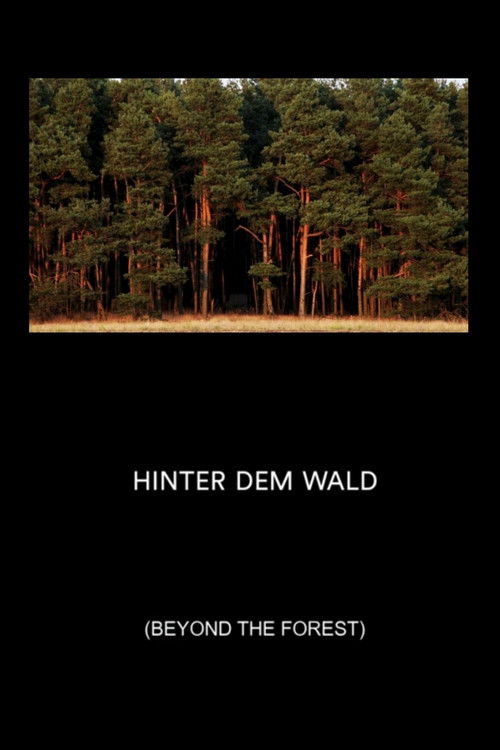 Beyond the Forest (2015) poster